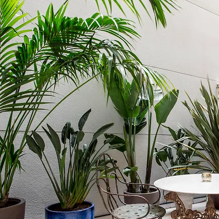 Midmost By Majestic Group 4*