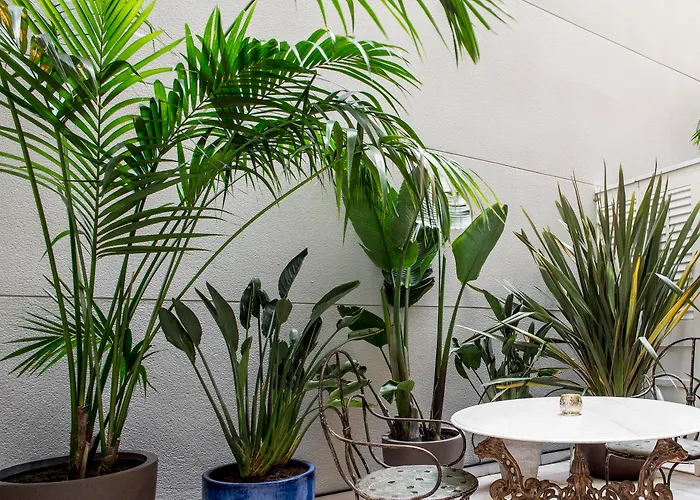 Midmost By Majestic Group 4*